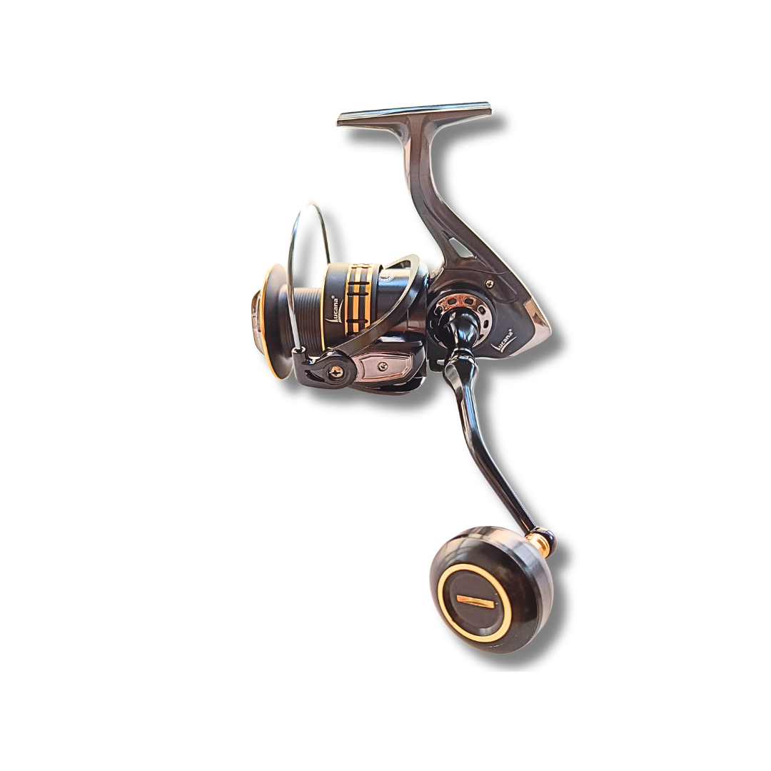 Lucana Kokari 8000 Spinning Reel Spinning Reels Lucana Cabral Outdoors