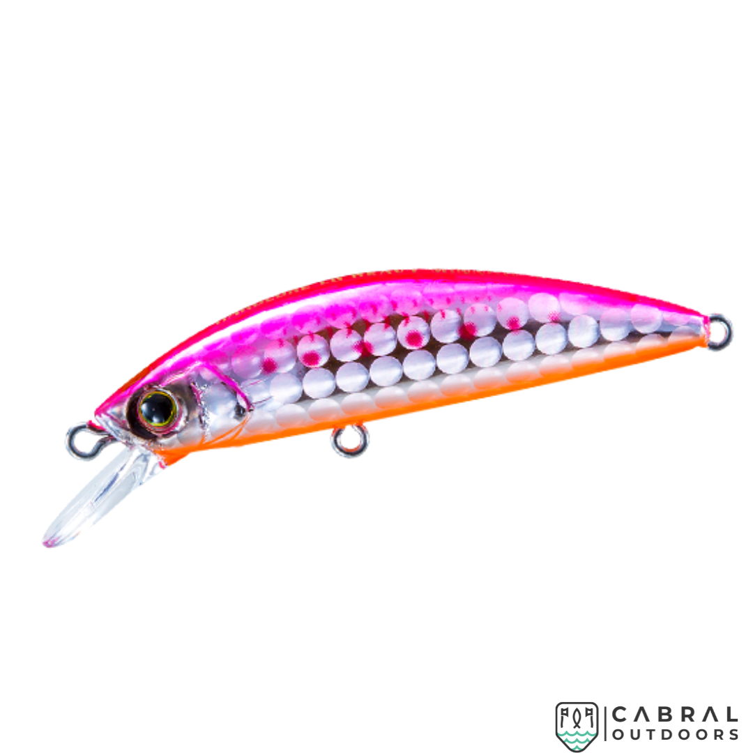 HARDCORE® LG HEAVY MINNOW(S) | Size:50mm | 6g Hard Lure Duel Cabral Outdoors