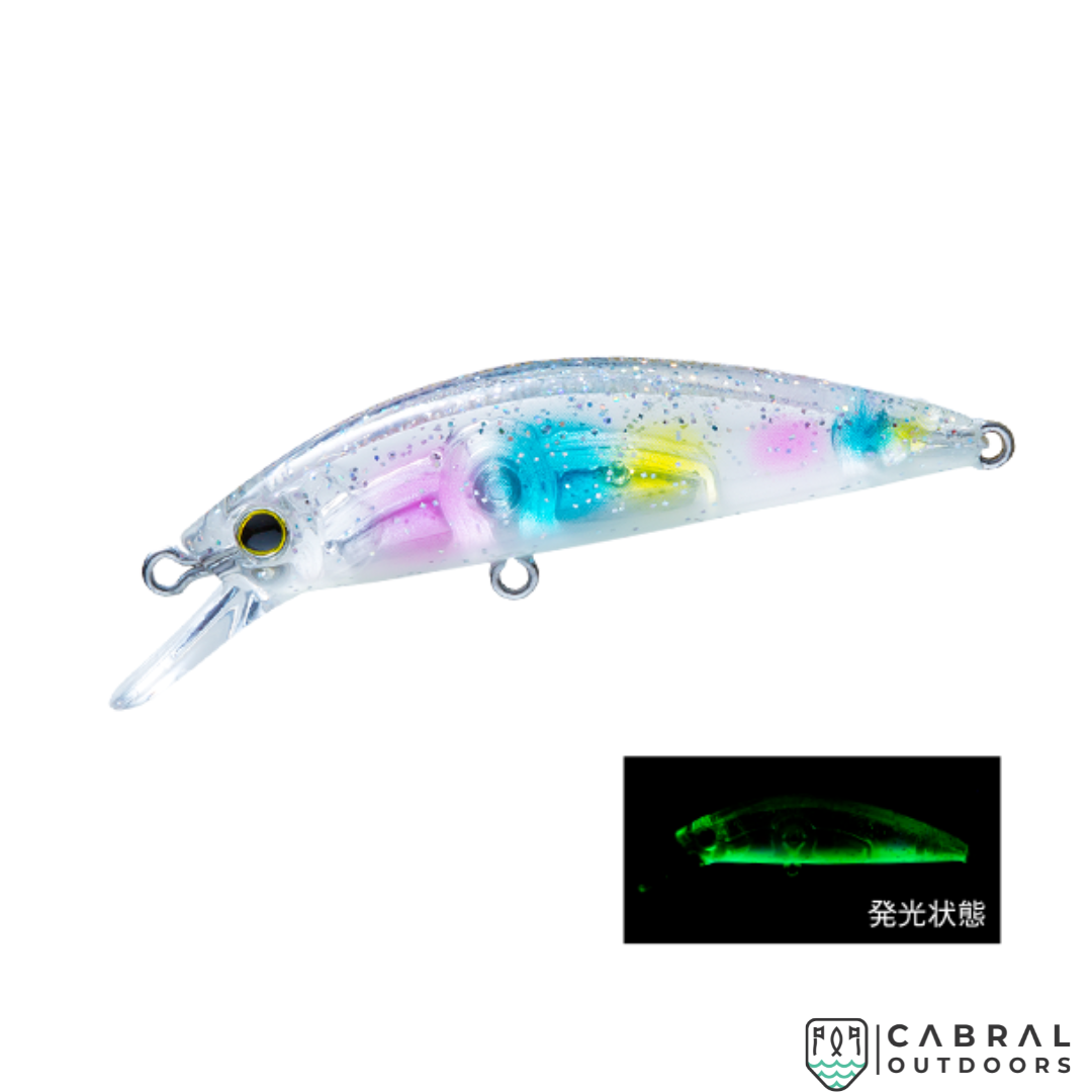 HARDCORE® LG HEAVY MINNOW(S) | Size:50mm | 6g Hard Lure Duel Cabral Outdoors
