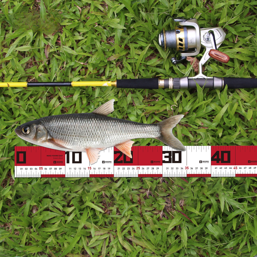 Measure Mat Fishing Tackle Ruler | 65cm Measure Mat Cabral Outdoors Cabral Outdoors