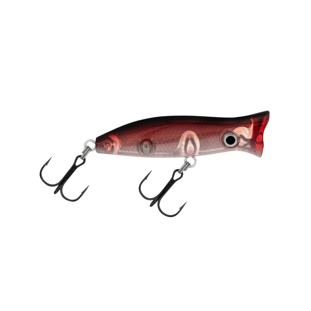 Halco Roosta Popper 60 Hard Lure | Size: 60mm | 7g Popper Halco Cabral Outdoors