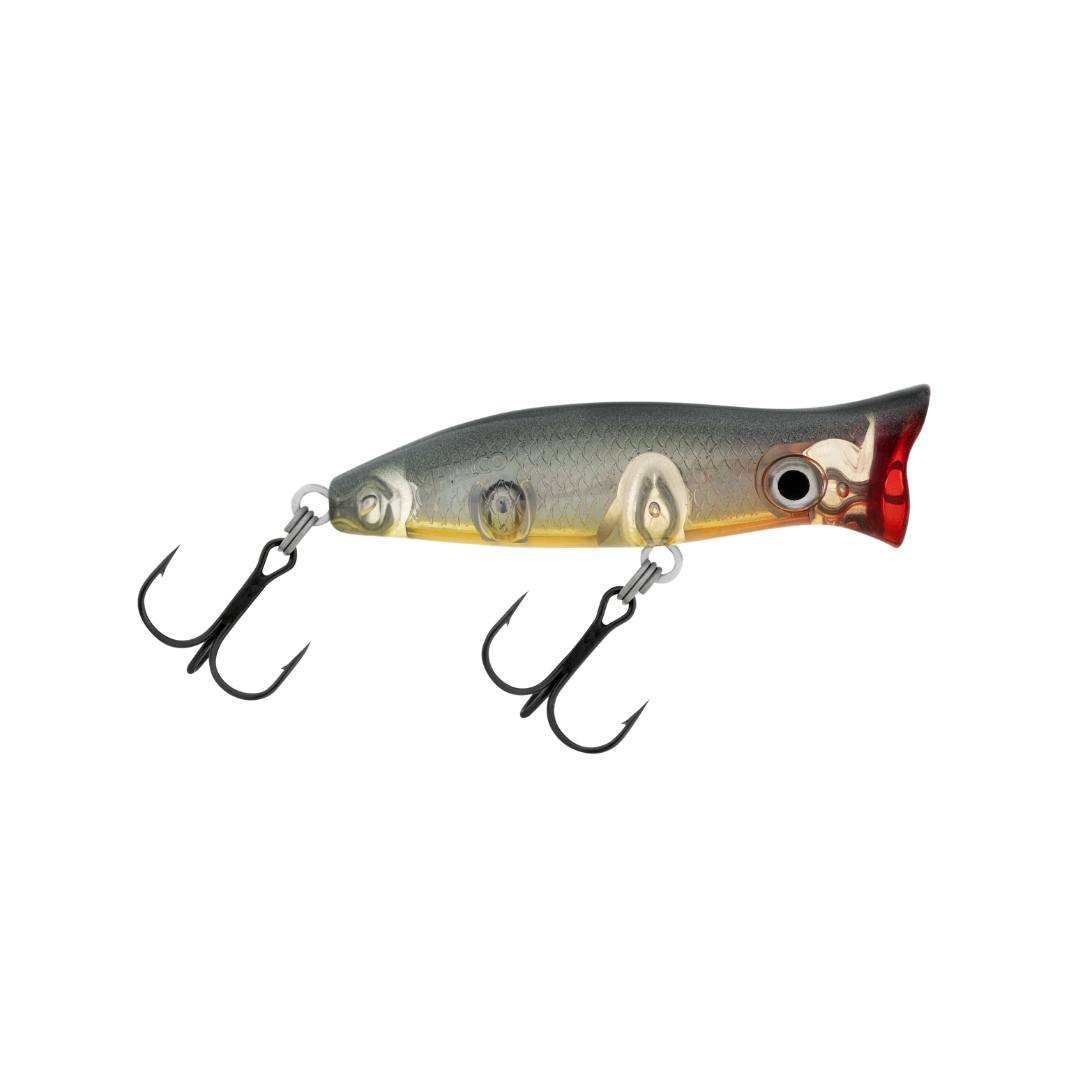 Halco Roosta Popper 60 Hard Lure | Size: 60mm | 7g Popper Halco Cabral Outdoors