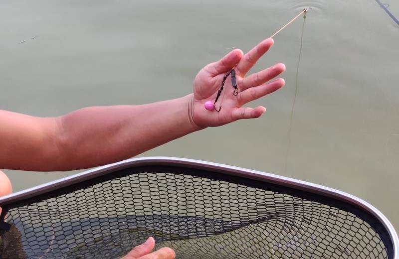 Lucana Carp Bead Beads Floats Lucana Cabral Outdoors