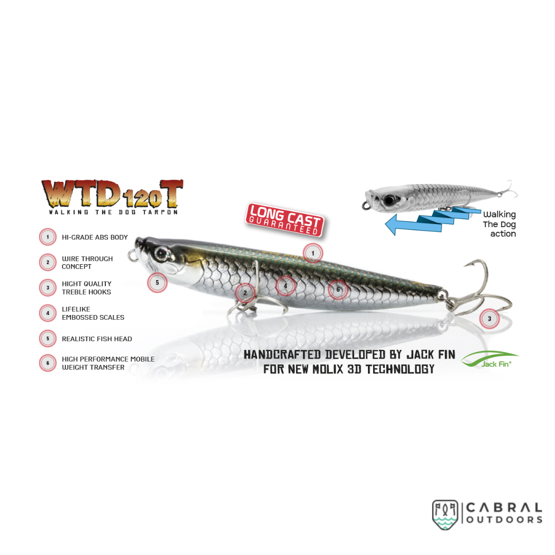 Molix WTD 120T | Size: 12cm | 25g Stick Baits Molix Cabral Outdoors