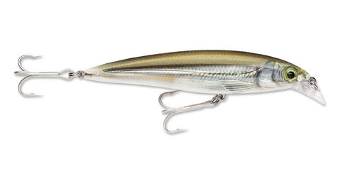 Rapala X-Rap SXR-12 Hard lure | Size: 12cm | 22g Jerk Baits Rapala Cabral Outdoors