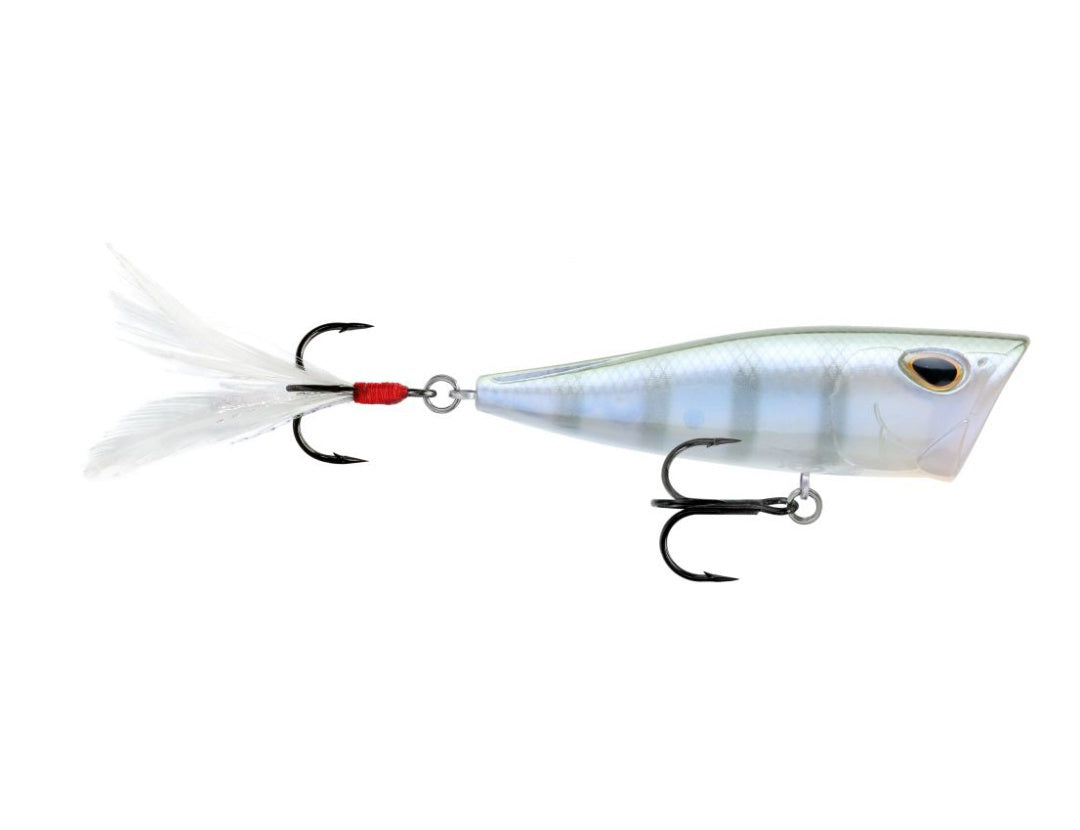 Storm Arashi Rattling Cover Pop Hard lure 8cm/14g, 1pcs/pkt popper Popper Storm Cabral Outdoors