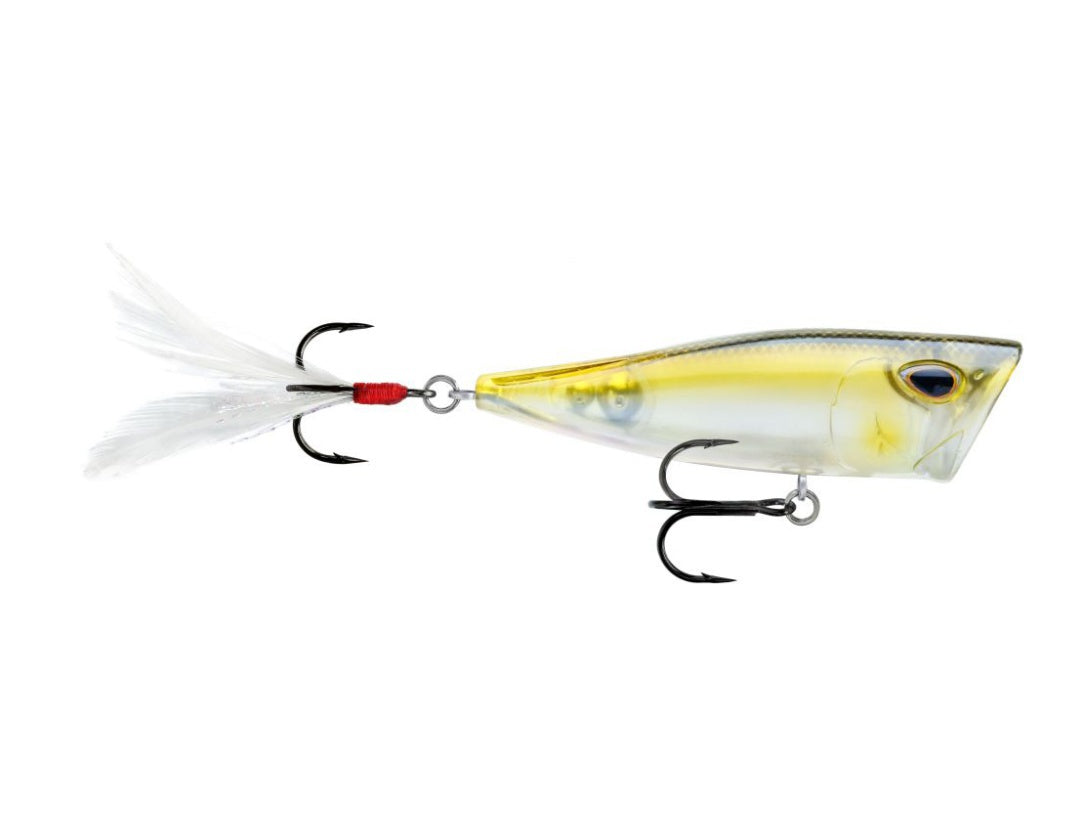 Storm Arashi Rattling Cover Pop Hard lure 8cm/14g, 1pcs/pkt popper Popper Storm Cabral Outdoors