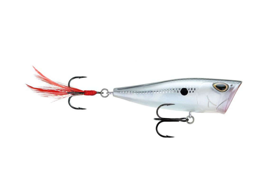 Storm Arashi Rattling Cover Pop Hard lure 8cm/14g, 1pcs/pkt popper Popper Storm Cabral Outdoors