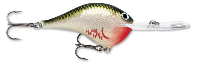 Rapala DT-20 | Size: 7cm | 25g, 1pcs/pkt Crank Baits Rapala Cabral Outdoors