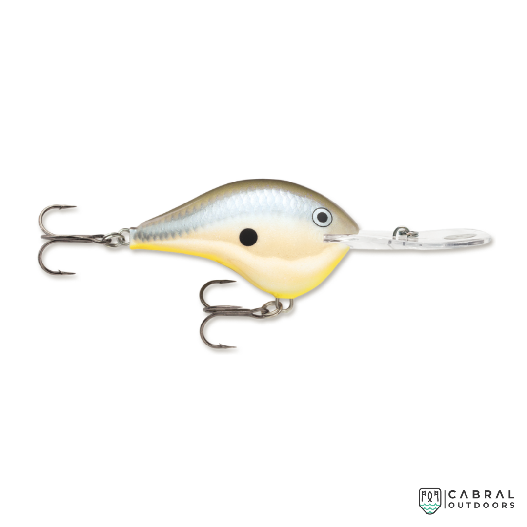 Rapala DT-20 | Size: 7cm | 25g, 1pcs/pkt Crank Baits Rapala Cabral Outdoors