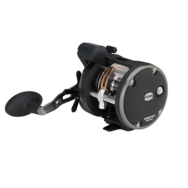PENN WARFARE Series Trolling Baitcasting Reel Spinning Reels Penn Cabral Outdoors