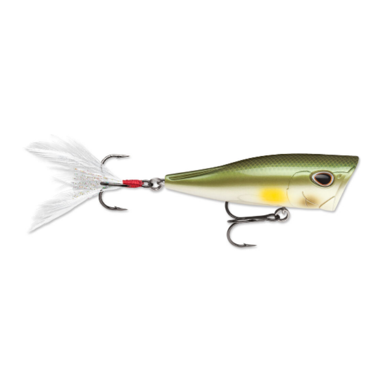 Storm Arashi Rattling Cover Pop Hard lure 8cm/14g, 1pcs/pkt popper Popper Storm Cabral Outdoors