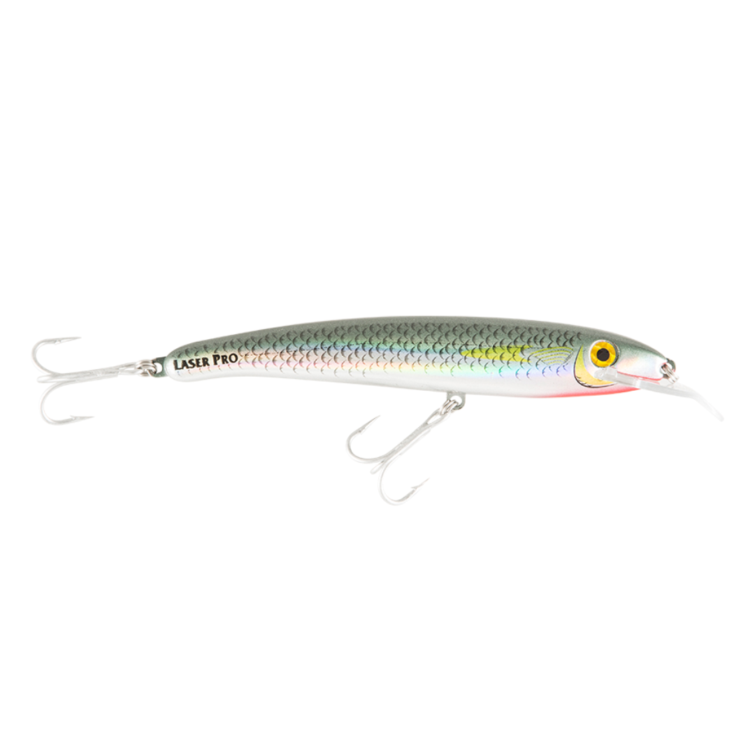 Halco Laser Pro 160 DD Hard Lure | Size: 160mm | 30g Stick Baits Halco Cabral Outdoors