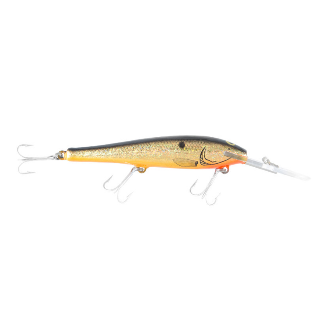 Halco Tilsan Big Barra Hard Lure | Size: 120mm | 23g Twitch Baits Halco Cabral Outdoors