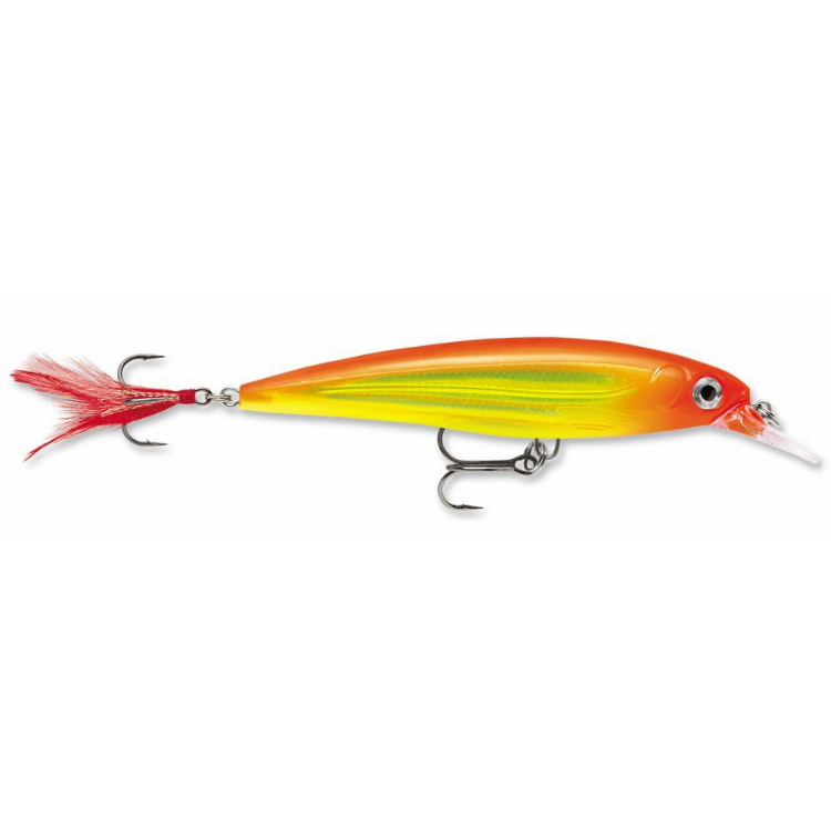 Rapala X-Rap XR10 Xtreme Action Slashbait Hard Lure | Size: 10cm | 13g Jerk Baits Rapala Cabral Outdoors