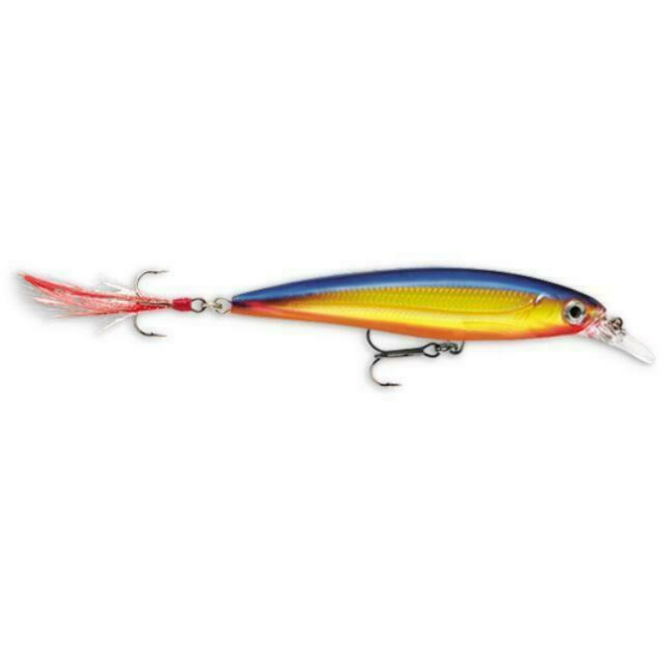 Rapala X-Rap XR10 Xtreme Action Slashbait Hard Lure | Size: 10cm | 13g Jerk Baits Rapala Cabral Outdoors