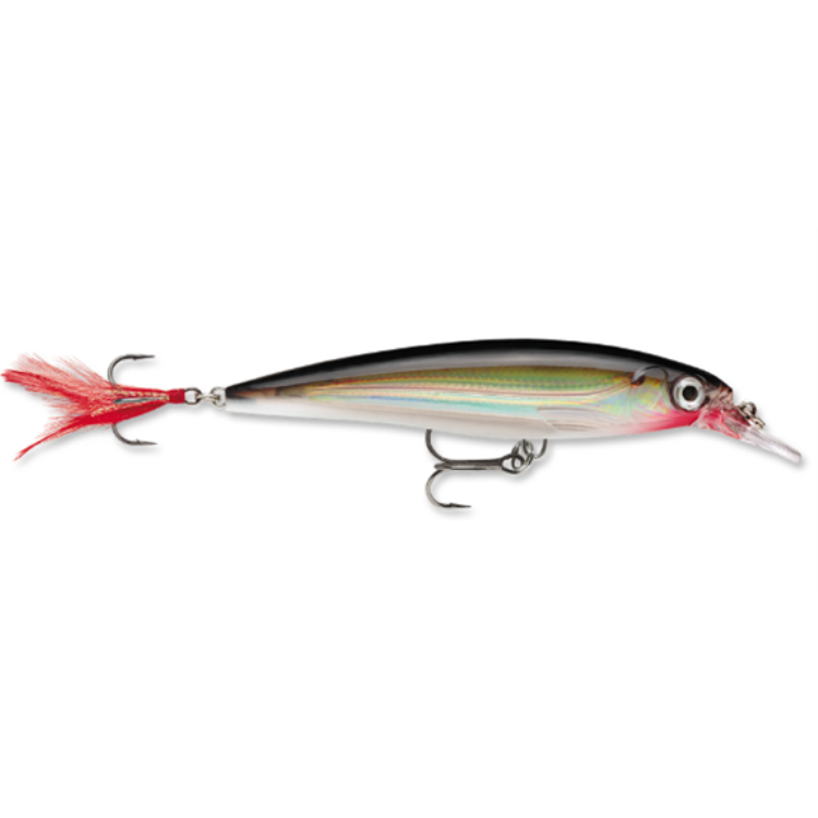Rapala X-Rap XR10 Xtreme Action Slashbait Hard Lure | Size: 10cm | 13g Jerk Baits Rapala Cabral Outdoors