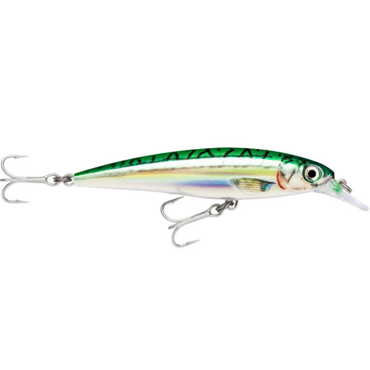 Rapala X-Rap SXR-12 Hard lure | Size: 12cm | 22g Jerk Baits Rapala Cabral Outdoors