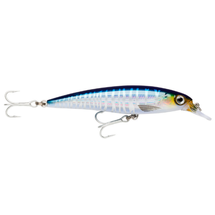 Rapala X-Rap SXR-12 Hard lure | Size: 12cm | 22g Jerk Baits Rapala Cabral Outdoors