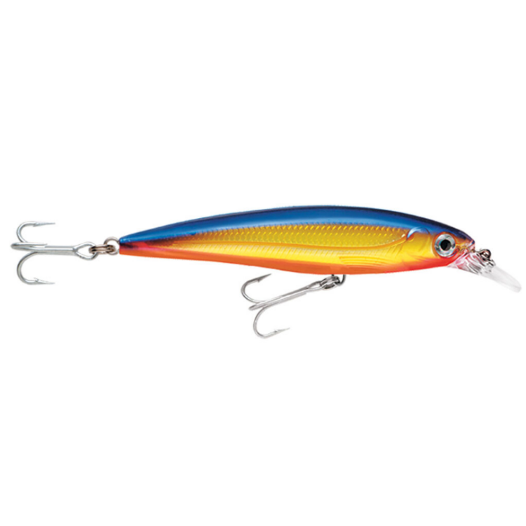 Rapala X-Rap SXR-12 Hard lure | Size: 12cm | 22g Jerk Baits Rapala Cabral Outdoors
