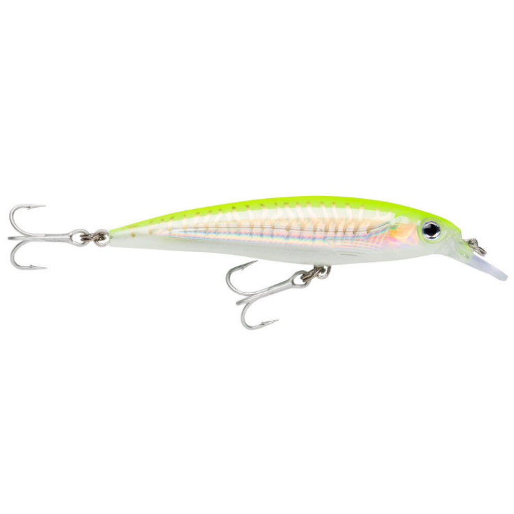 Rapala X-Rap SXR-12 Hard lure | Size: 12cm | 22g Jerk Baits Rapala Cabral Outdoors