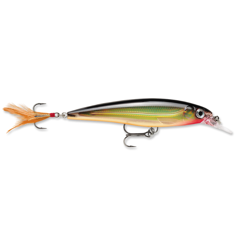 Rapala X-Rap XR10 Xtreme Action Slashbait Hard Lure | Size: 10cm | 13g Jerk Baits Rapala Cabral Outdoors