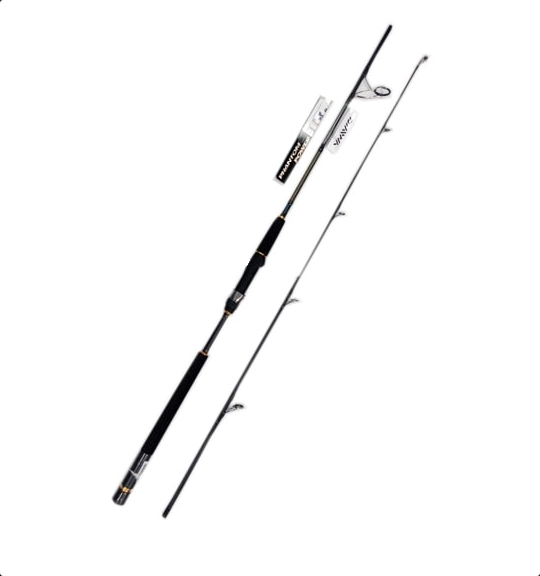 Daiwa Phantom Catfish PHC-1002 Black, Silver Fishing Rod Price in