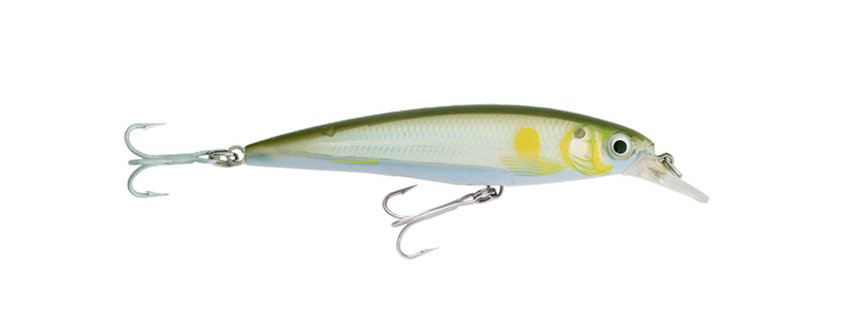 Rapala X-Rap SXR-12 Hard lure | Size: 12cm | 22g Jerk Baits Rapala Cabral Outdoors