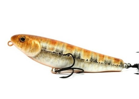 Mega Frox Sushi 10cm | 21g | 1pcs/pck Popper Lures Factory Cabral Outdoors