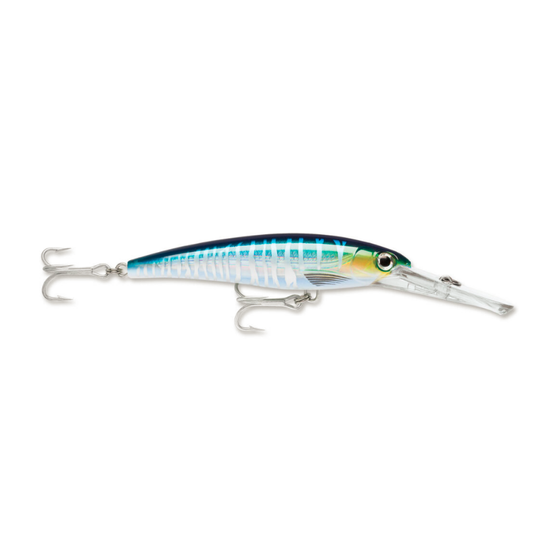 Rapala Saltwater X-Rap Magnum Divebait 15ft Hard lure | Size: 12cm | 32g Deep Diver Rapala Cabral Outdoors