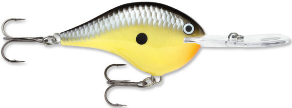 Rapala DT-20 | Size: 7cm | 25g, 1pcs/pkt Crank Baits Rapala Cabral Outdoors