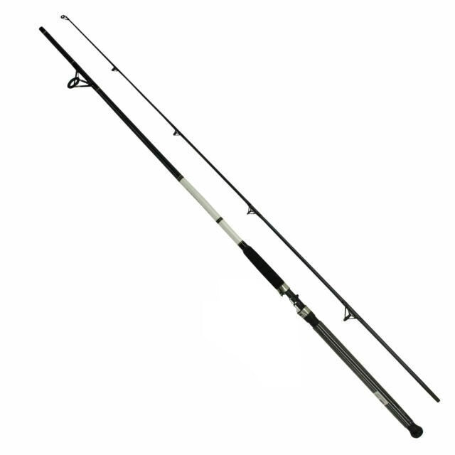 Daiwa D-Wave Saltwater 7ft-10ft Spinning Rod Spinning Rods Daiwa Cabral Outdoors