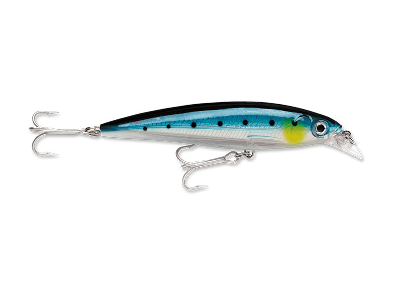 Rapala X-Rap SXR-12 Hard lure | Size: 12cm | 22g Jerk Baits Rapala Cabral Outdoors