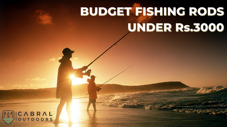 Best Budget Rods Under 3000rs