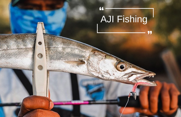 The Art of Aji Fishing in India