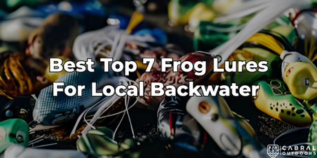 Top 7 Frog Lures For Local Backwater