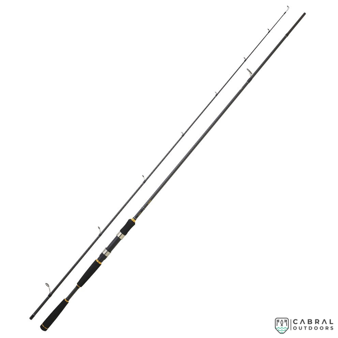 Daiwa Legalis Sea Bass 8ft- 10ft Spinning Rod