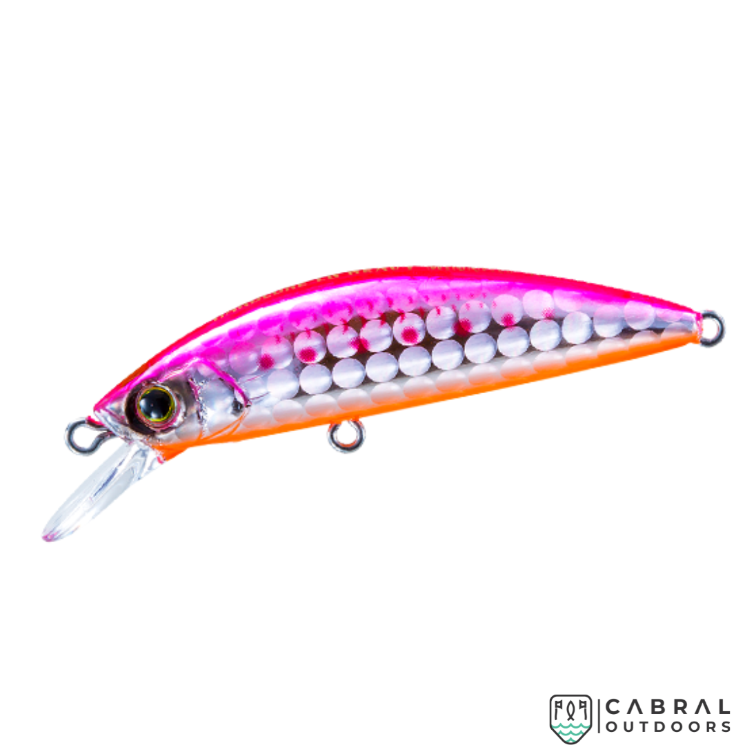 HARDCORE® LG HEAVY MINNOW(S) | Size:50mm | 6g  Hard Lure  Duel  Cabral Outdoors  