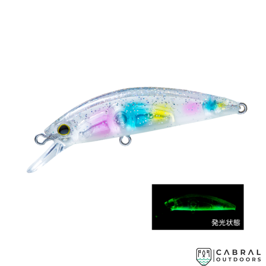 HARDCORE® LG HEAVY MINNOW(S) | Size:50mm | 6g  Hard Lure  Duel  Cabral Outdoors  