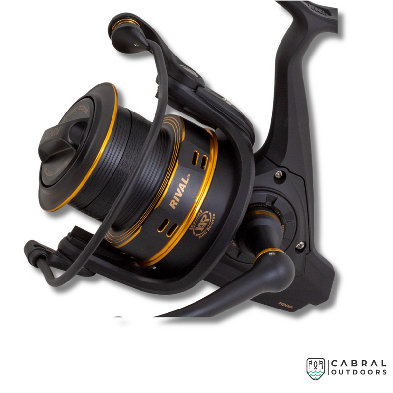 Penn Rival Gold Spinning Reel 6000, Cabral Outdoors