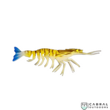 Jhinga Shrimp | 100mm-125mm | 7g-11g  Shrimp  Scaless  Cabral Outdoors  