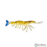 Jhinga Shrimp | 100mm-125mm | 7g-11g  Shrimp  Scaless  Cabral Outdoors  