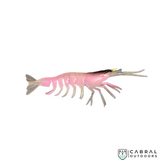 Jhinga Shrimp | 100mm-125mm | 7g-11g  Shrimp  Scaless  Cabral Outdoors  