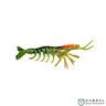 Jhinga Shrimp | 100mm-125mm | 7g-11g  Shrimp  Scaless  Cabral Outdoors  