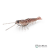 Savage Gear Manic Shrimp Weedless RTF WL  | Pack of 2 | Size: 3inch-3.5inch | Weight:-6g-9g