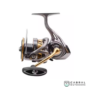 Spinning Reels