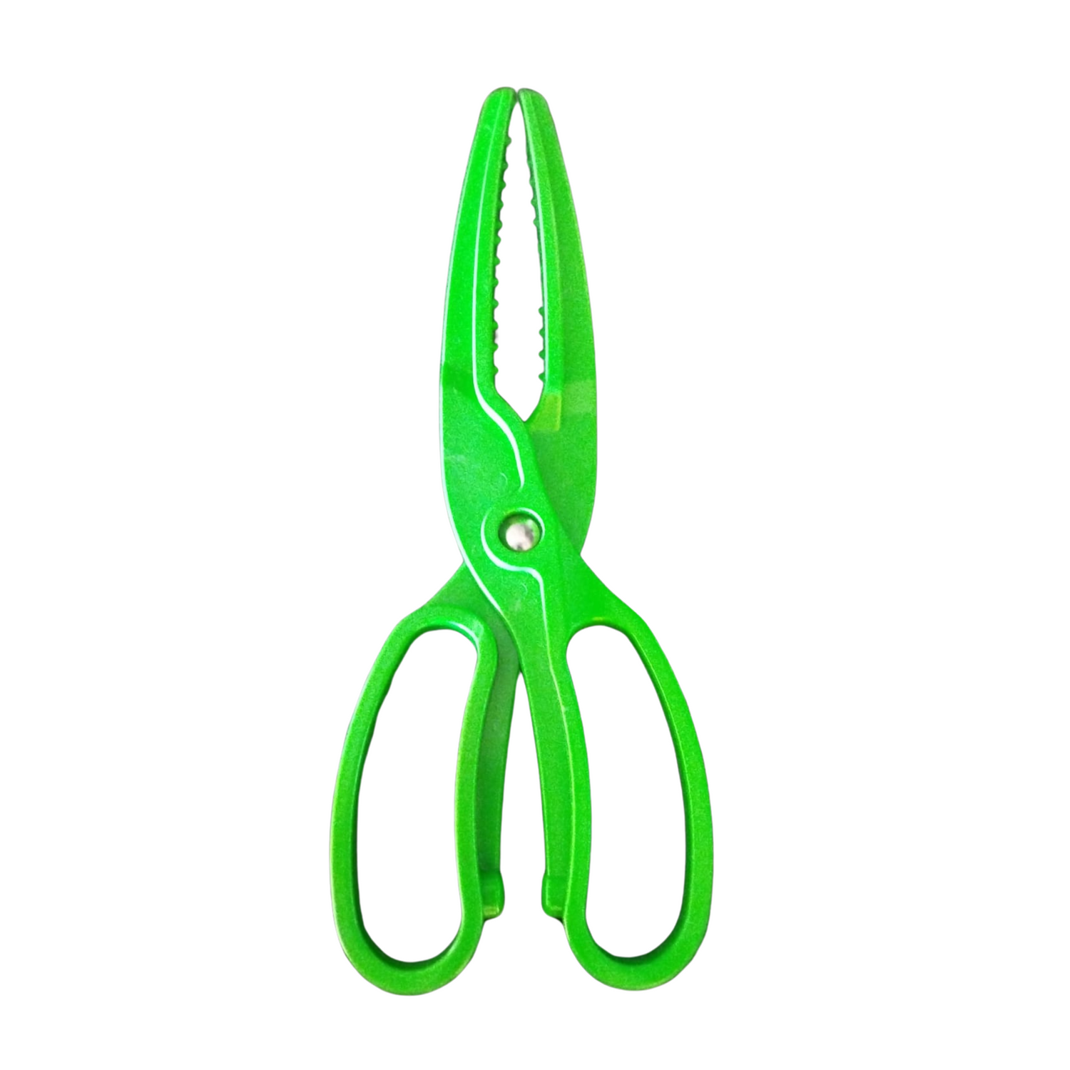 Fish holder Scissor