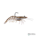 Zerek Absolute Shrimp | 4.5" | 20g | #3/0