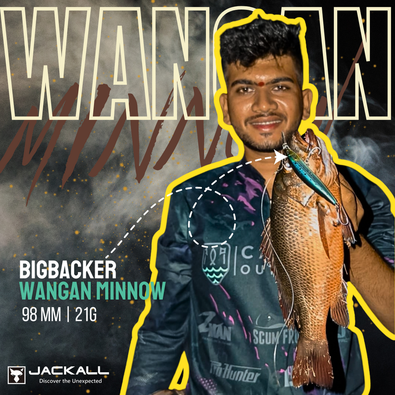 Jackall Big Backer Wangan Minnow | 98mm | 21g