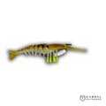 Pelagic Tribe  Aquamantis Shrimp | Size : 4 inch | 16g  Shrimp  Pelagic Tribe  Cabral Outdoors  